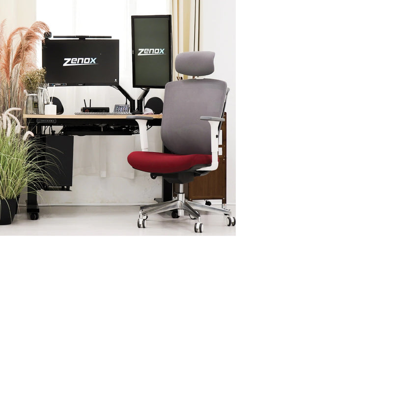 Zenox Zagen Series Office Chair