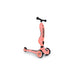 Scoot and Ride Highwaykick1 2合1平衡滑步車(1 yr+) (3輪)