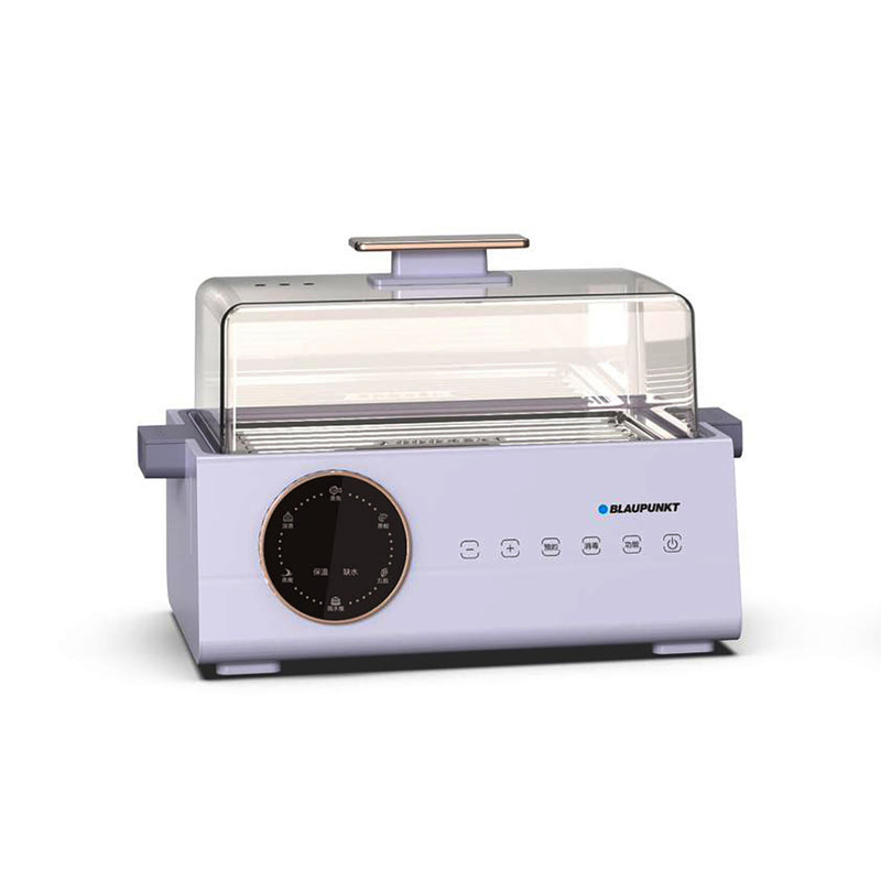 BLAUPUNKT MK-FS01UK Electric Steamer